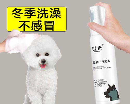 小狗沐浴露使用指南（探讨宠物使用人类沐浴露的风险与注意事项）