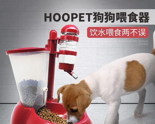 小狗术后需要补充的营养（让宠物健康快乐生活）