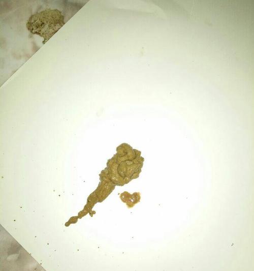 小狗为什么一天没大便（探究宠物便秘的原因及解决方法）