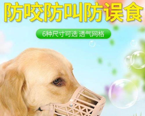 如何合理安排2个月狗狗的饮食（掌握狗狗的饮食量）