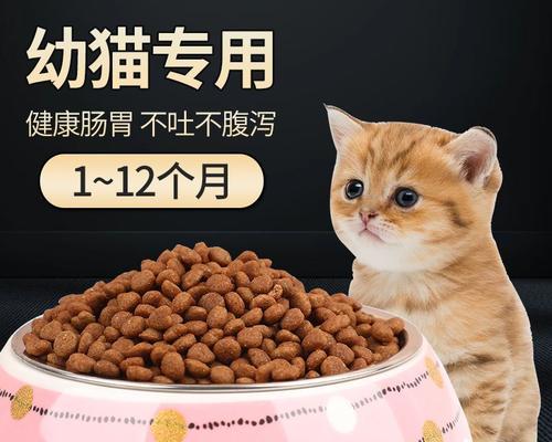 2个月猫咪奶糕怎么泡软（以宠物为主）