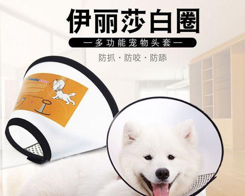 如何治疗大猫咬小猫脖子的伤口（以宠物为主）
