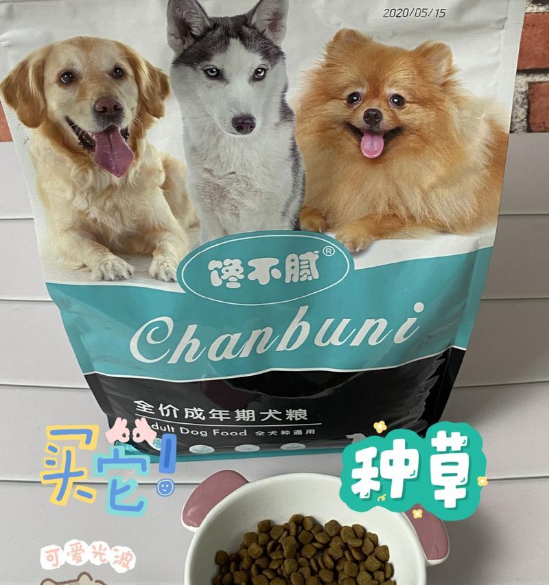 为你的宠物选择最佳饮食，让它健康成长（为你的宠物选择最佳饮食）