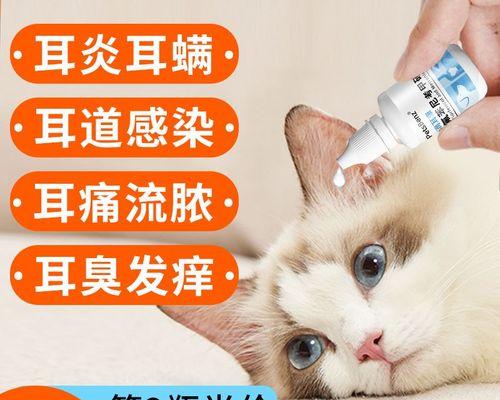 狗狗耳朵清洁的正确时间（如何定期清理狗狗的耳道）