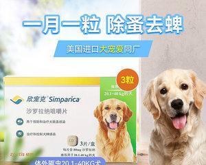 宠物小狗能否使用儿童药（用药前要注意的事项）