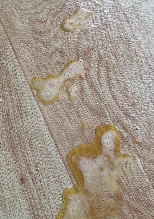小猫拉稀呕吐，如何应对（宠物主人必读的护理指南）