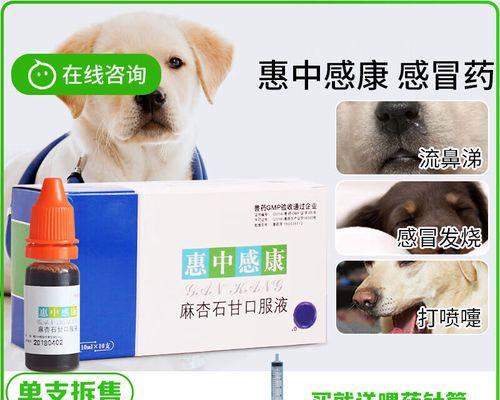 感康嘛（探究感康嘛的作用与使用方法）