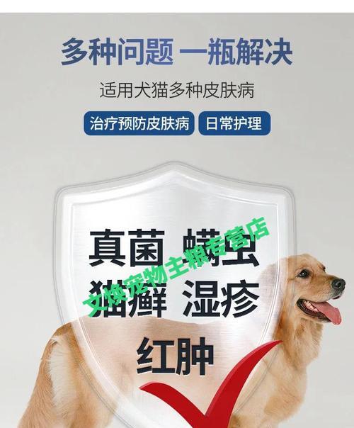 猫咪真菌感染治疗完全指南（从症状到治疗）