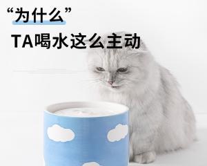 猫咪自动循环水器（智能科技改善猫咪饮水问题）