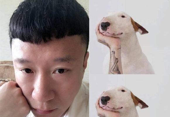 明星宠爱的狗狗品种大揭秘（以明星宠物为主）