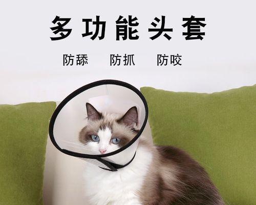 小猫咬伤了我（探究宠物猫挠咬的原因和对策）