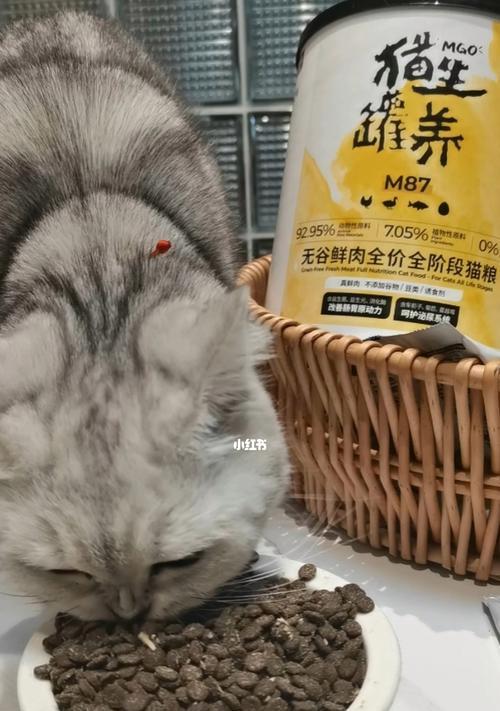 宠物小猫肉食性呕吐原因及应对方法