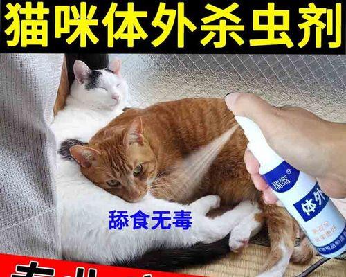 如何为宠物猫驱虫（小猫的驱虫药物选择及使用技巧）