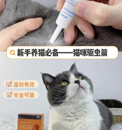 小猫驱虫药的正确使用方法（宠物的健康需要我们的呵护）