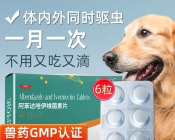 小猫驱虫药的正确使用方法（宠物的健康需要我们的呵护）