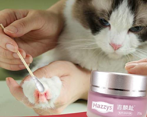治疗小猫皮肤炎需要多久时间（以宠物为主）