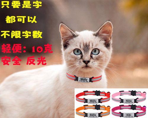小猫睡脖子的意义（揭开宠物与主人之间的情感奥秘）