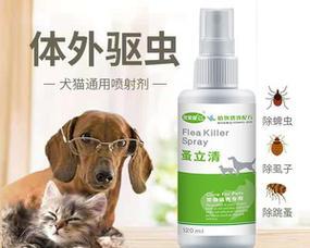 小猫如何正确使用体外驱虫药剂（关注宠物健康）