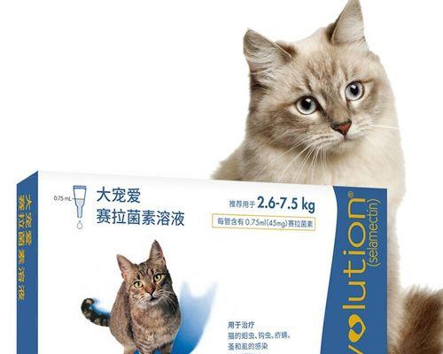 如何给宠物猫进行体外驱虫（掌握正确方法）