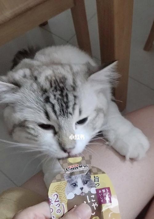 小猫突然不爱闹了，原因是什么（从宠物的角度出发）