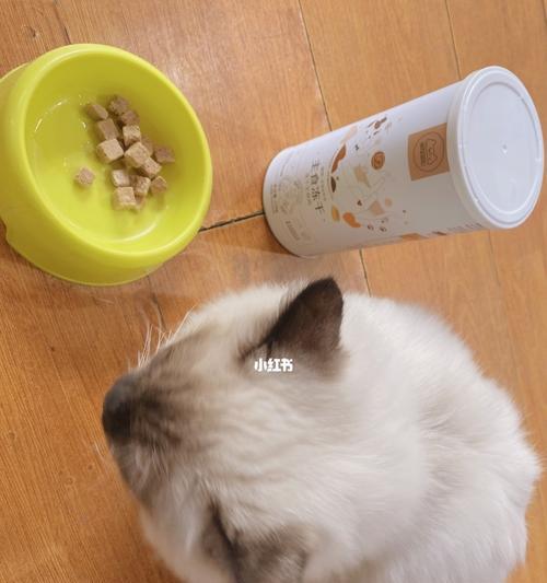 小猫为什么不吃猫粮？——探究营养均衡的重要性