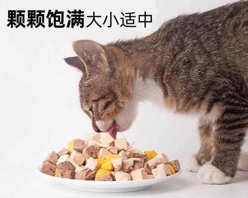 小猫为什么喜欢叼着鸡肉（探究宠物小猫的天性和行为习惯）