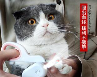 小猫为何总是伸指甲（从宠物行为和生理角度解析）