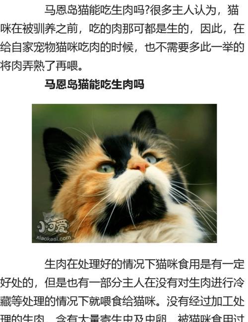小猫喂食指南——如何喂养你的爱宠（从品种到饮食）