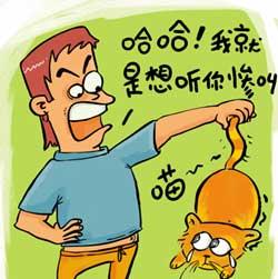 揭露宠物虐待现象（以小猫小狗为代表）