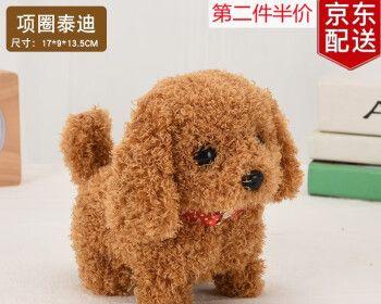 小猫摇尾巴的含义（探寻宠物语言与行为的奥秘）