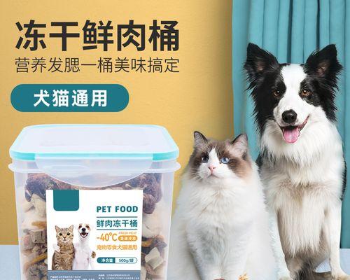 小猫如何控制食量（正确喂养宠物猫）