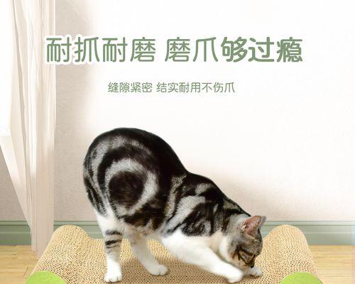 小猫为何一直不收爪子（探秘宠物小猫为何无法自控的行为和原因）