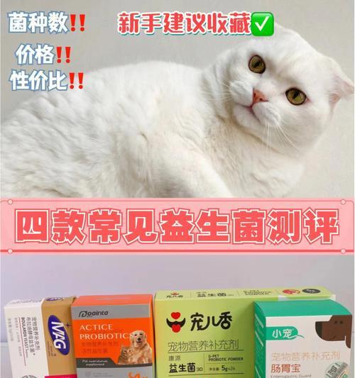 探寻以小猫益生菌的宠物保健奥秘（以小猫益生菌哪个牌子更好）