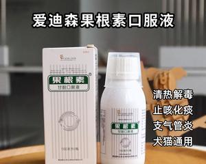 小猫支气管炎的治疗方法（药物治疗是最有效的治疗方法）