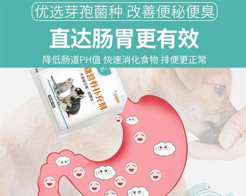 小猫必备——益生菌（宠物养护之道）