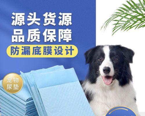 如何处理宠物小猫乱拉尿的问题（从日常护理到行为训练）