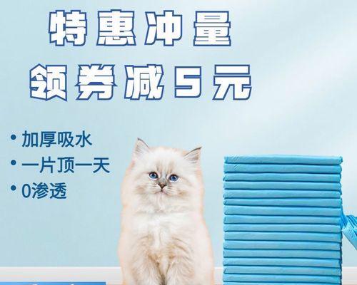 如何处理宠物小猫乱拉尿的问题（从日常护理到行为训练）