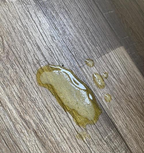 小猫咪呕吐白色泡沫应该怎么办（宠物爱护指南）
