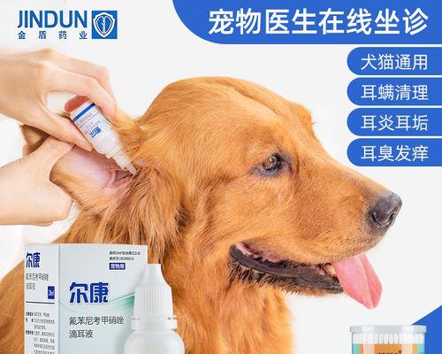 狗狗中耳炎的治疗方法（掌握治疗方法）