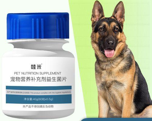 如何处理宠物狗的胃部问题（探讨胃部问题的原因及治疗方法）