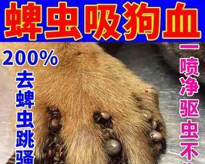狗脊椎不好，如何选药治疗（以宠物为主）