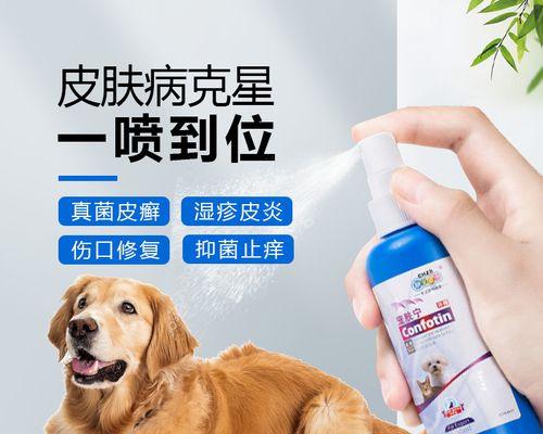 宠物狗的消炎药选择（了解宠物狗的消炎药）