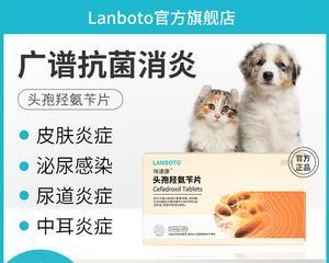 宠物犬尿频尿血的治疗方法（了解狗狗的尿频尿血症状及治疗）