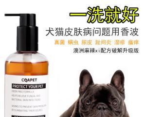 狗脓皮的治疗方法（如何让宠物恢复健康）