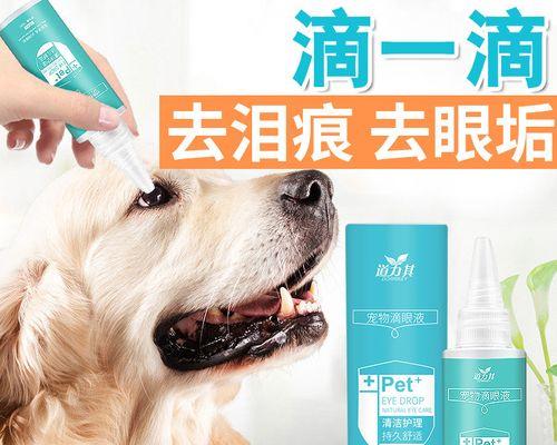 如何用药治疗狗身上的肿块（宠物护理的关键）