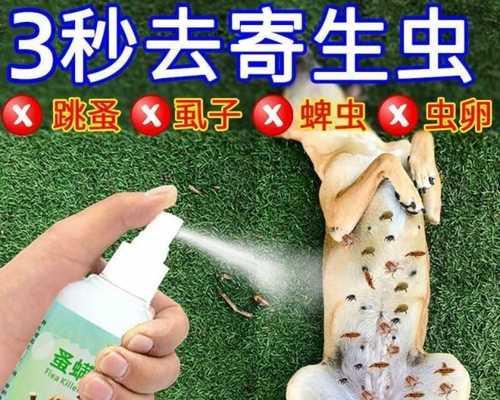 探究宠物狗狗虱子的形成过程（从生存环境到繁殖生长）