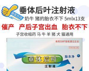 宠物用缩宫素的适用时机与注意事项（了解缩宫素）