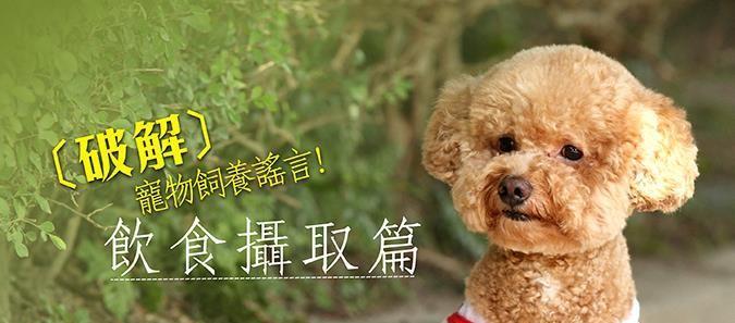 狗为何不吃素（探究狗类肉食性的原因）
