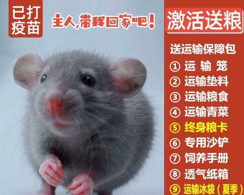 如何为宠物打狗疫苗（自己在家打狗疫苗的步骤与注意事项）