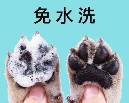 揭秘狗爪子颜色的奥秘（狗爪子为什么有黑色/白色/棕色）